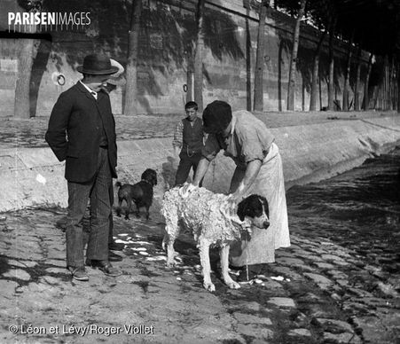 Laveur de chiens sur les quais de la Seine, vers 1895.